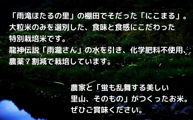〈坂本自然農場 穂田琉〉 特別栽培米:にこまる 精米5kg ご飯 お弁当 おにぎり 冷めても美味しい 愛媛県産 受賞米 ギフト プレゼント