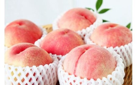 紀州和歌山産の桃　約1.8kg　化粧箱入　2024年6月下旬頃?2024年8月中旬頃順次発送（お届け日指定不可）【uot720-2】