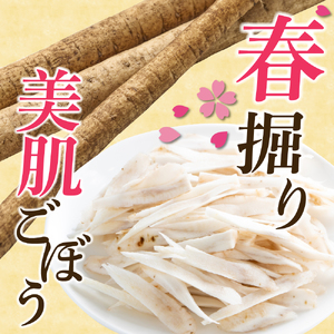 北海道十勝芽室町 なまら十勝野 芽室町産 春掘り美肌ごぼう【ユキシズク】L5㎏ 野菜 根菜 ゴボウ きんぴら 炊き込みご飯 お取り寄せ 送料無料 北海道 十勝 芽室町me001-035c