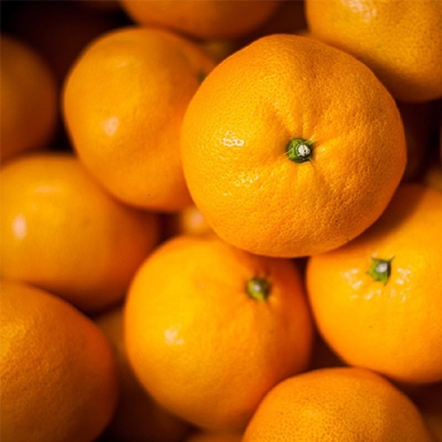 ＜清家ばんかんビレッジ＞「温州みかん」特選 （M～Lサイズ）3kg