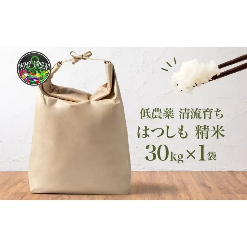 ＜先行予約＞令和8年産 はつしも 精米 30kg×1袋 低農薬 新米 お米 白米 米 ごはん 米 ご飯 ハツシモ R8年産 あっさり ブランド米 お取り寄せ 産地直送 送料無料 美濃グリーン 岐阜県 