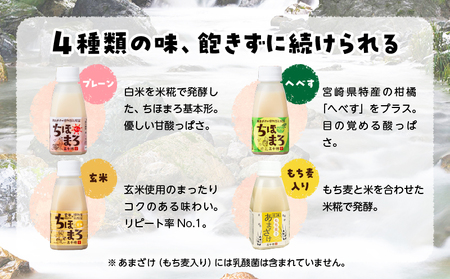 乳酸菌入りあまざけ ちほまろ 150g　30本セット【プレーン8本 へべす8本 玄米7本 もち麦7本】 セット 飲み比べ 味比べ 詰め合わせ 無添加 砂糖不使用 日課 ノンアルコール 飲み物 ドリンク