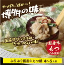 【ふるさと納税】国産もつ鍋 (しょうゆ味) 600g 4〜5人前 小分け 冷凍 送料無料 国産牛 鍋 セット EZ006