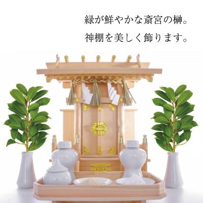 ふるさと納税 明和町 神棚用 榊 1対 (2束) 約25cm 神棚 さかき お供え |  | 01