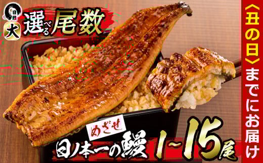 
            【6/30までの入金で丑の日までにお届け】【尾数が選べる！】うなぎ生産量日本一の鹿児島県産！日ノ本一の鰻の蒲焼き＜大＞1尾～15尾！うなぎ 鰻 ウナギ 1尾 2尾 3尾 5尾 7尾 15尾 蒲焼き かばやき 冷凍 うな重 ひつまぶし タレ 山椒
          