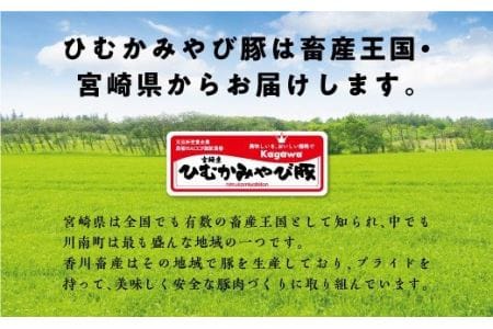 第56回天皇杯受賞企業「香川畜産」豚肉食べ比べセット1,100g【肉 豚肉 国産 九州産 宮崎県産 スライス しゃぶしゃぶ 焼肉 とんかつ セット】