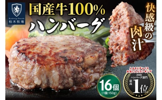 柏木牧場特製 国産牛100%ハンバーグ (150g×16個)｜国産 ハンバーグ 冷凍 グルメ ギフト お惣菜 惣菜 [0759]