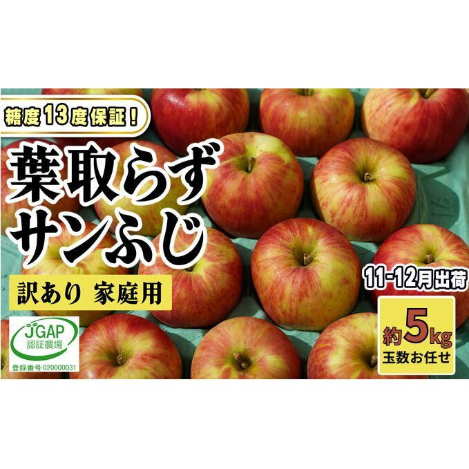 11～12月発送【 糖度保証 】家庭用 葉取らず サンふじ 約 5kg【 訳あり 】鶴翔りんごGAP部会 青森県産 津軽産 リンゴ 林檎 果物 フルーツ デザート 甘味 酸味 食感 