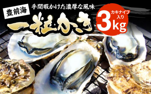 【先行予約】豊前海一粒かき 3kg ＋カキナイフ入り【2027年1月中旬以降順次発送】《豊前市》【豊築漁業協同組合】[VAG007] 殻付き カキ 厳選牡蠣 牡蠣 国産 魚貝類 一粒牡蠣 海のミルク 海鮮 海の幸 つまみ 晩酌 お酒のあて