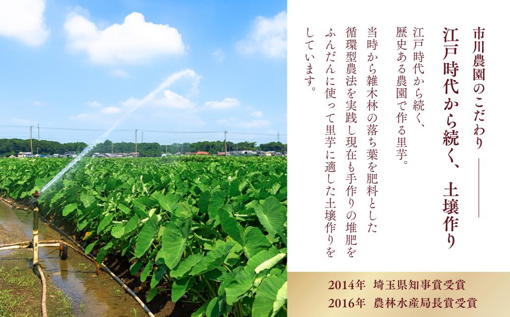 里芋 堀兼の里芋(贈答用)  2.5㎏ | さといも 里いも 里芋 サトイモ 土付 野菜 旬 新鮮 期間限定 季節限定 根菜類 根菜 煮物 芋煮 コロッケ 味噌汁 みそ汁 おでん 産地直送 市川農園 