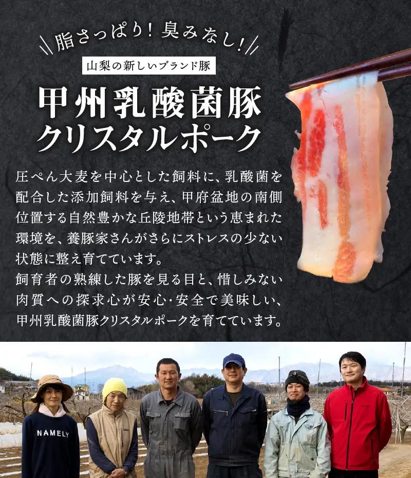 ぜん糀バラベーコンブロック（約100ｇ×10）ZBB2