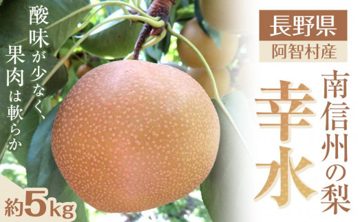 
                  【先行予約】＜8月下旬頃配送＞南信州阿智村　梨【幸水】｜果物 フルーツ 期間限定 数量限定 5kg 信州 長野
                