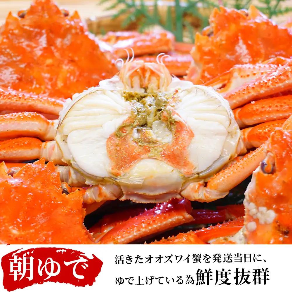 北海道産【 朝ゆで 】訳ありオオズワイガニ 2.0kg ＜かにのマルマサ＞