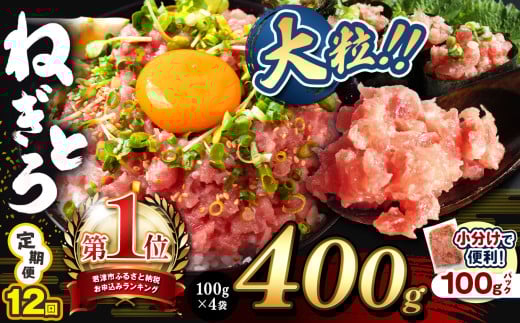 【 定期便 12回 】ねぎとろ 400g（100g×4袋） 関東限定発送 | 清幸丸水産 大人気 手巻き寿司 海鮮丼 マグロのユッケ まぐろ 海鮮 小分け 100g パック 千葉県 君津市