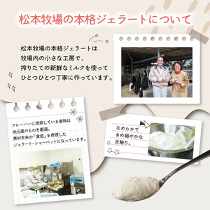 松本牧場アイス定期便（6個入り×3回）／ ジェラート アイスクリーム【Z057】