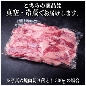 飛騨牛 焼肉 切り落とし 約1.2kg(約400g×3)訳あり【冷蔵便】【配送不可地域：離島】【1543587】