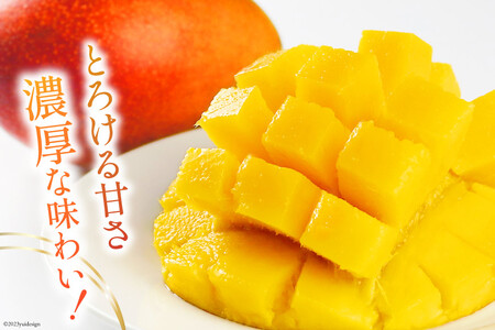 【先行受付】「生産者応援・数量限定」日向完熟マンゴー2L×2玉(家庭用) [宮崎県農業協同組合日向地区本部(販売課) 宮崎県 日向市 452060536] 日向 完熟マンゴー 完熟 果物 くだもの フ
