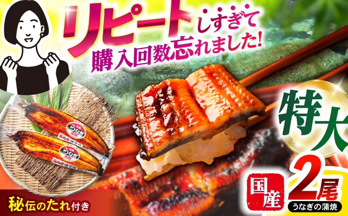 ＜諫早淡水＞特大うなぎ蒲焼 2尾 / うなぎ ウナギ 鰻 特大 蒲焼き ウナギ蒲焼 国産 冷凍 うな重 うな丼 ウナギ ひつまぶし / 諫早市 / 諫早淡水株式会社 [AHAT014]