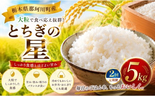 【定期2回】新米 お米 とちぎの星  5kg  | 先行予約 令和8年度産 ふるさと納税 お米 ご飯 精米 白米 栃木県 那珂川町 送料無料