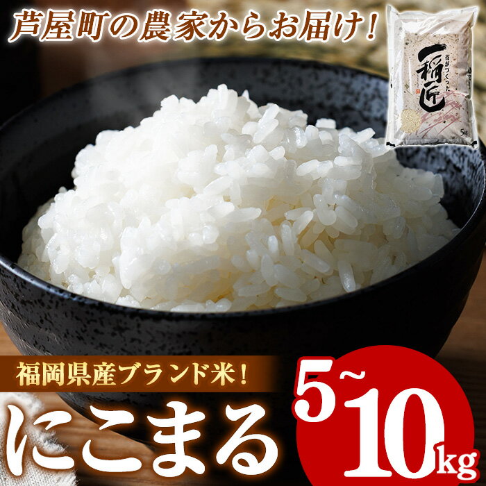 【ふるさと納税】≪令和7年産・容量選べる≫福岡県産 にこまる 白米(計5~10kg) 白米 米 お米 おこめ ごはん にこまる ご飯 常温 福岡県産 ブランド米 常温 常温保存