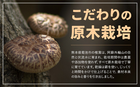 原木栽培 干し椎茸 スライス 使い方説明付き 70g × 3袋 合同会社くまもとごはん《30日以内に出荷予定(土日祝除く)》熊本県 菊池市 ジッパー袋 水で戻すだけ 椎茸 しいたけ きのこ スライス 