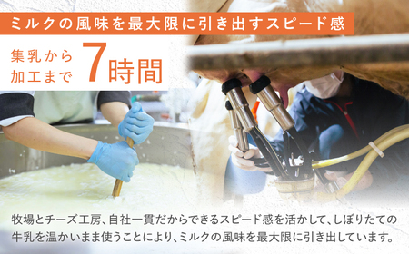 【12回定期便】 ナカシマファーム のおすすめ チーズ 6種 セット【ナカシマファーム】[NAJ007] チーズ ナカシマファーム チーズ 酪農家の手作りチーズ てづくりチーズ 人気チーズ おすすめチ