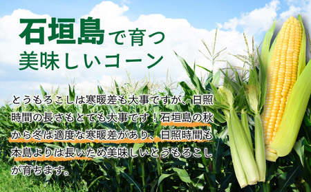【先行予約2025年1月-5月配送】1番遅くて1番早い_ プレミアムヤングコーンとスイートコーンのよくばり定期便!!朝採れを皮付きのままお届け!!
