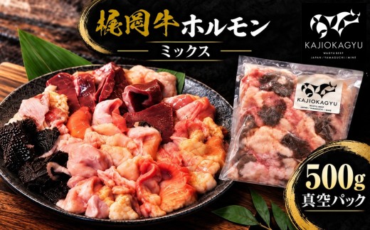 ( 梶岡牛 ) ホルモン  ・ ミックス  500g 真空パック ｜  国産梶岡牛 希少 ホルモン ぷりぷり 食感 濃厚 旨み 焼肉 もつ鍋 もつ モツ 冷凍 特産品 山口 美祢 美祢市