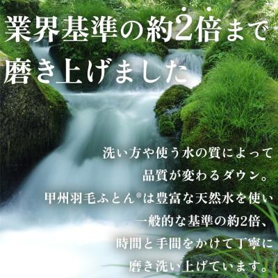 ふるさと納税 山梨市 【2025年6月下旬発送】ダウンまくら 中判(白・ピロケース付)43×63【甲州羽毛ふとん】 |  | 02
