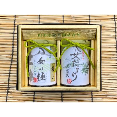 ふるさと納税 大牟田市 八女茶詰め合わせ　八女の極み(極上煎茶)・八女だより(特上深蒸し茶)