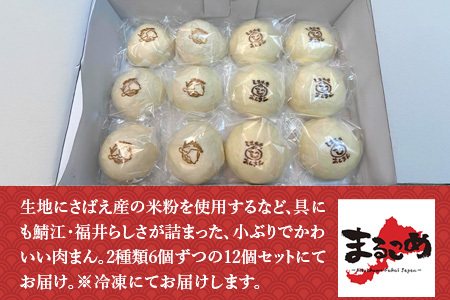 福井県産さばえ米粉入り米こうじ肉まんぜ～んぶ「ふくいまん」10個セット