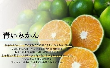 【先行予約】 訳あり 黒潮の恵みをたっぷり浴びた さっぱり甘い 極早生みかん 5kg ～数量限定～ [rk0509]