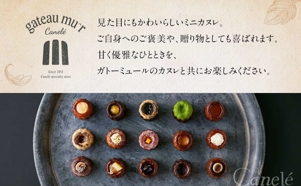 ガトーミュール サマー アイスカヌレ 24個入