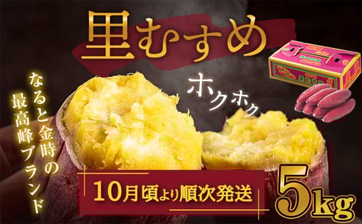 【 予約受付中・2025年10月頃より順次発送 】なると金時 （ 里むすめ ） 5kg さつまいも 鳴門金時 熟成 国産 スイーツ 焼き芋 焼芋 焼いも 干し芋 ギフト 贈り物 お土産 サツマイモ 里娘