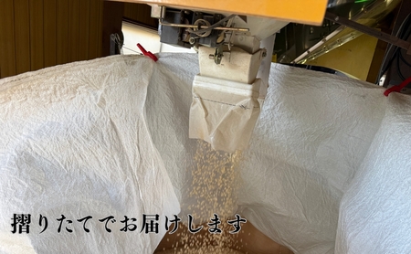 【先行予約】【定期便】令和8年産 コシヒカリ 精米10kg×6ヶ月（毎月） お米 白米 こしひかり｜石川県 小松市【元田農産】