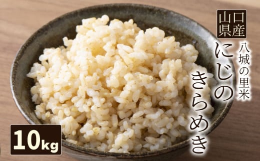 【先行予約】【1回お届け】にじのきらめき 玄米 10kg