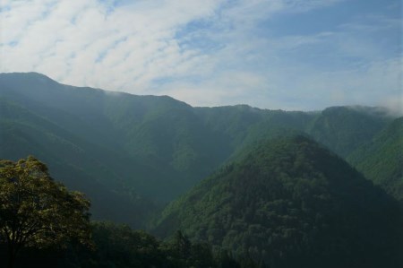 飛騨市産 5等級飛騨牛 しゃぶしゃぶ用 300g ギフト お中元 お歳暮[Q349]