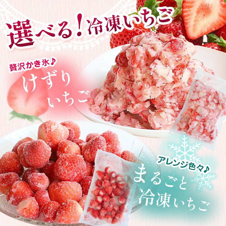 【ふるさと納税】選べる 冷凍いちご or 削りいちご 熊本玉名産 約1kg | フルーツ 果物 くだもの 果実 いちご イチゴ 苺 冷凍 アイス デザート おやつ 森山商店 熊本県 玉名市