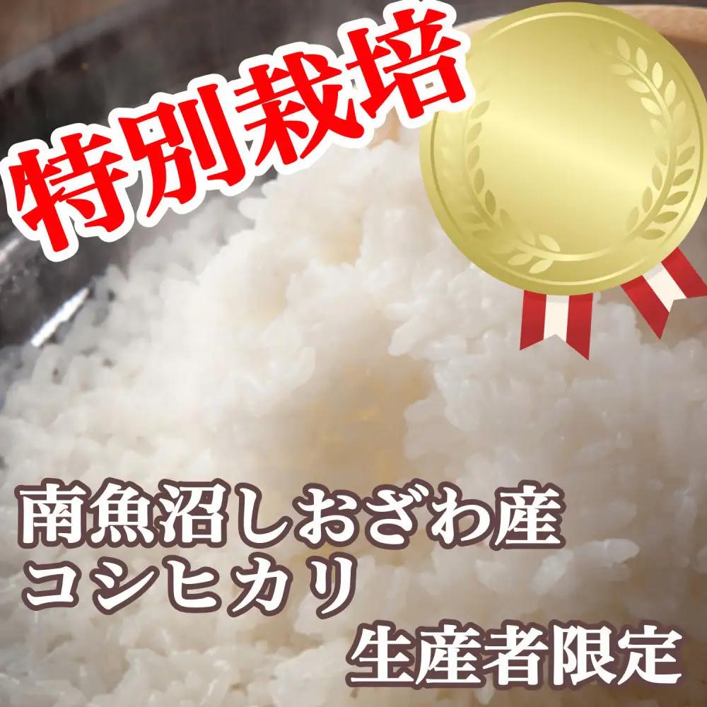 【令和8年　新米予約】特別栽培 生産者限定 南魚沼しおざわ産コシヒカリ15Kg | 米【2026年10月上旬より1ヶ月以内に順次発送予定】