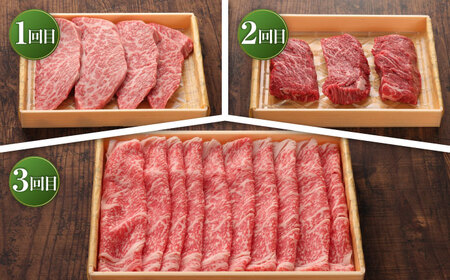 【全3回定期便】【数量限定】【GI認証】くまもとあか牛 食べ比べⒺ / 菊陽町 あかうし 熊本県 肉 にく niku ブランド 旨み 【有限会社 三協畜産】[BHAS030]