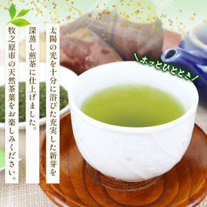 137-3　深蒸し茶　農家のまかない茶250ｇ入り5本