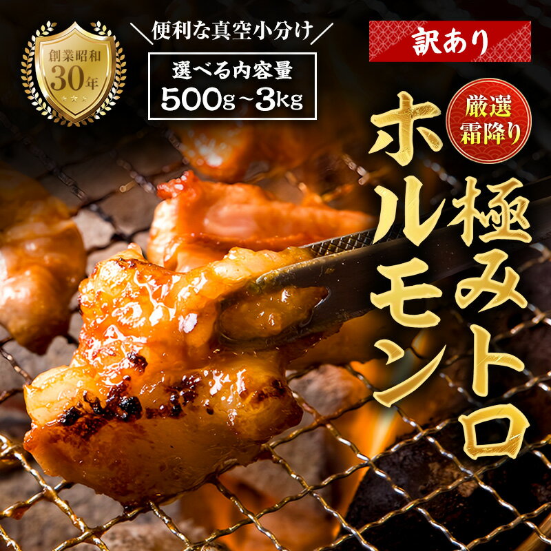 【ふるさと納税】【訳あり】 霜降り 極みトロホルモン 400g〜1.8kg 秘伝のタレ付き | 国産 極トロホルモン 霜降り ホルモン 冷凍 真空パック 家庭用 ホルモンうどん　八島丹山 京都 舞鶴