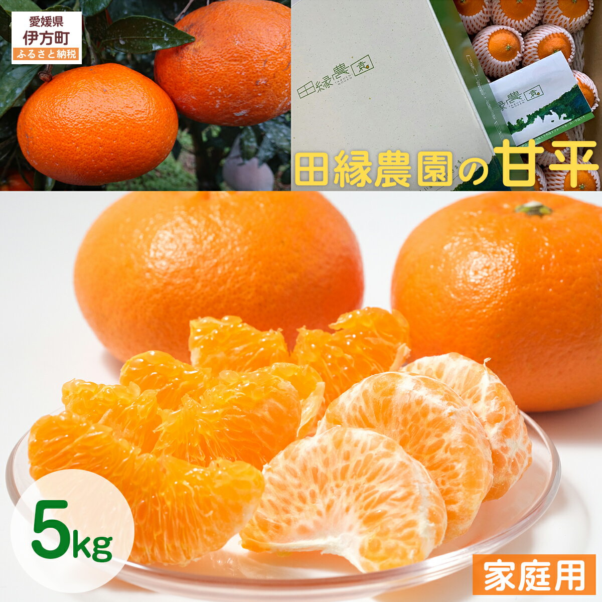 【ふるさと納税】【先行予約】【家庭用】甘平 5kg ※離島への配送不可 （2026年1月25日より順次発送） 【ふるさと納税 人気 おすすめ ランキング みかん ミカン 蜜柑 甘平 かんぺい フルーツ 果物 愛媛県産 田縁農園 愛媛県 伊方町 送料無料】 IKTA031