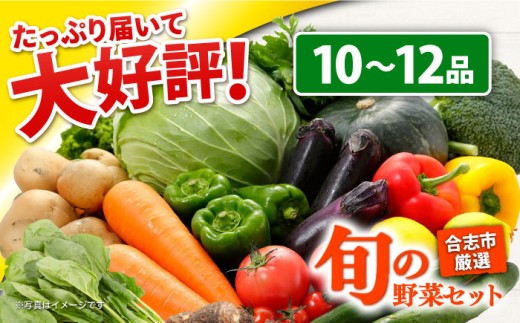 【年内発送は12月14日ご入金分まで！】旬のお野菜 セット 10〜12品 野菜 旬 季節 詰め合わせ おまかせ 新鮮 やさい 産地直送 熊本県 合志市 【一般社団法人クラッシーノこうし】[AYAB008]