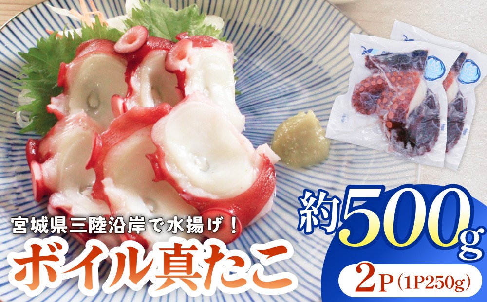 
                  真たこ ボイル  約 500g 蛸 たこ タコ ボイル済み 冷凍 小分け CAS凍結 海鮮 魚介類
                