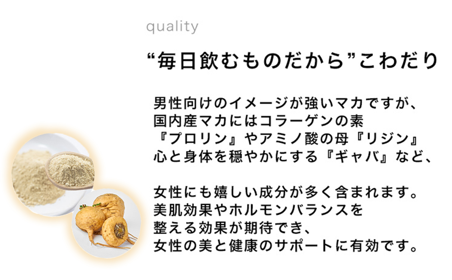 【定期便6ヶ月】tierra5（2個）1セット×6回 【素材の力を、丁寧に届ける】 マカサプリ 国産マカ 酵素分解マカ 植物由来成分 カプセルサプリ 日本製サプリ 女性向け モリンガ ハトムギ 山葡萄