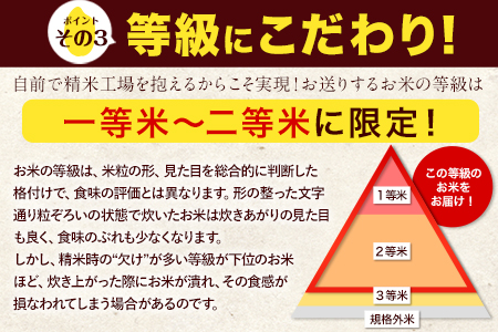 米 無洗米 令和6年産 新米 特A受賞品種 ひのひかり 森のくまさん 米 送料無料10kg 食べ比べ ヒノヒカリ 選べる 厳選 熊本県産(長洲町産含む) 米 お米 森くま 《11月-12月より出荷予定