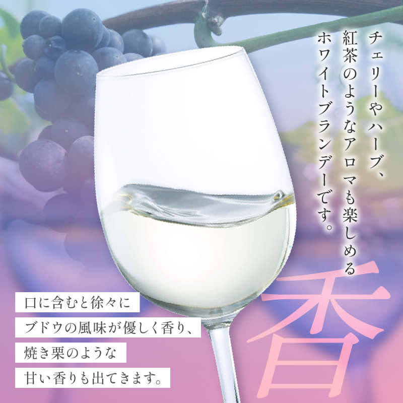【数量限定】ホワイトブランデーBojo(計1本)_T014-017【人気 ギフト 飲料 食品 お酒 お土産 限定品 贈り物 送料無料 プレゼント 酒 飲料 アルコール 国産】