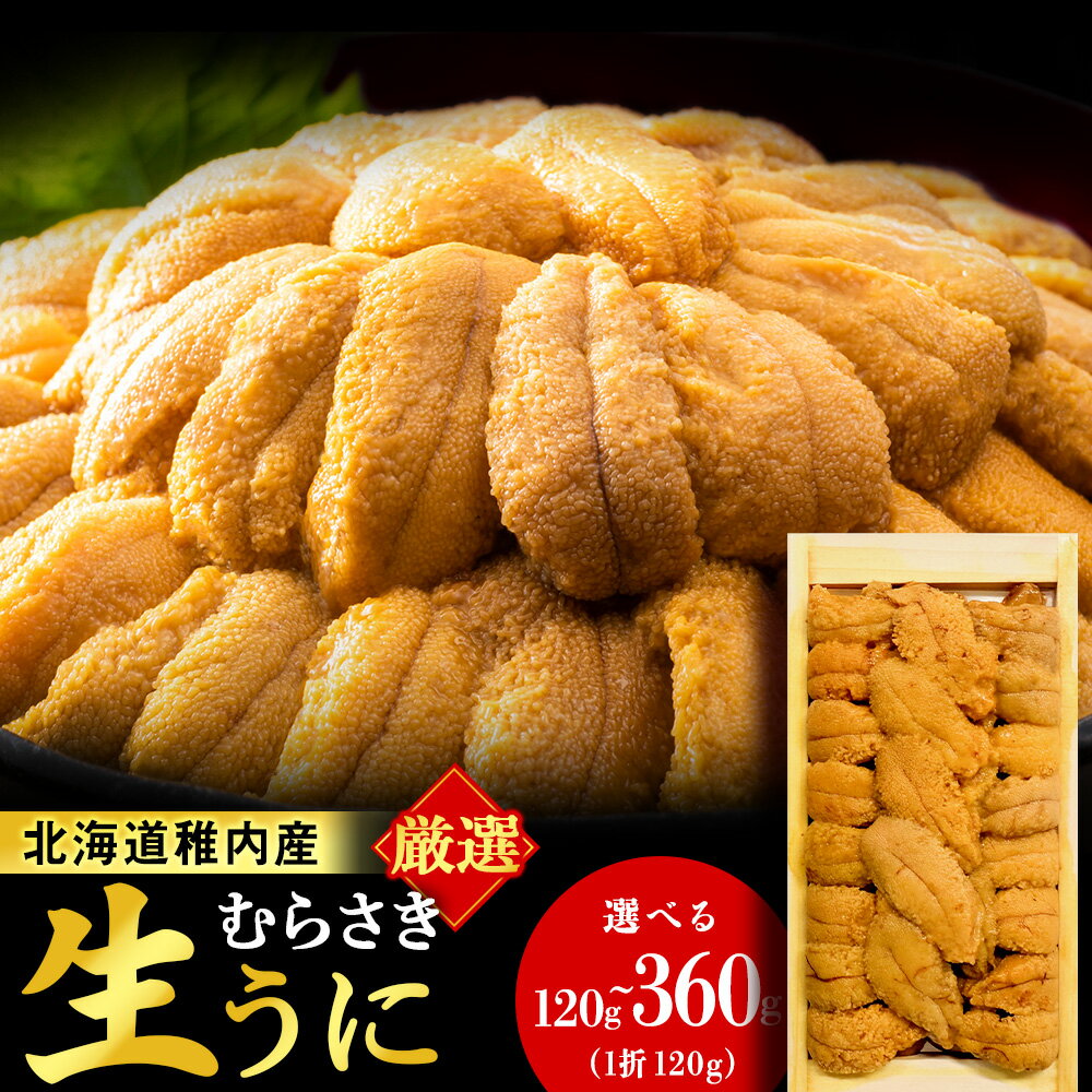 【ふるさと納税】【先行予約】【厳選PREMIUM】美味しいウニは昆布の名産地にあり!生むらさきうに 選べる1～3パック 1パック120gムラサキウニ うに むらさきうに 生うに 海鮮 海産物 北海道ふるさと納税 稚内 ふるさと納税 北海道 【配送不可地域：離島・沖縄県】