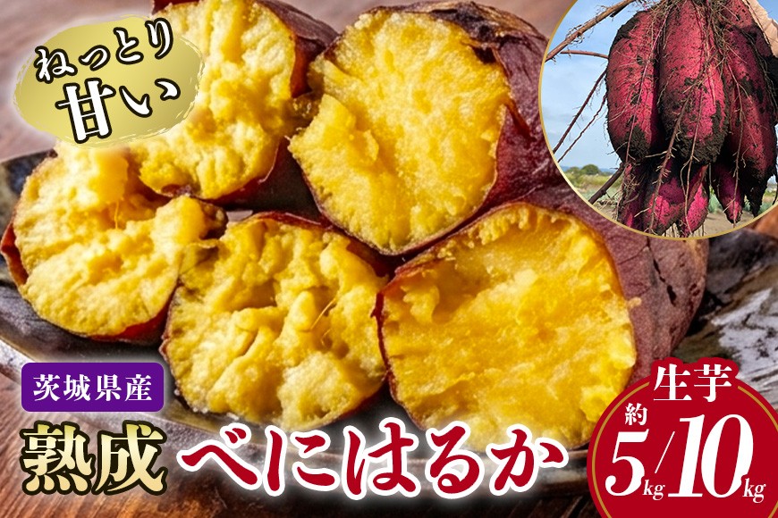 
                  ねっとり甘い♪茨城県産熟成べにはるか 選べる 約5kg 10kg さつまいも サツマイモ 芋 いも 茨城県 那珂市 B15-009/B15-010
                